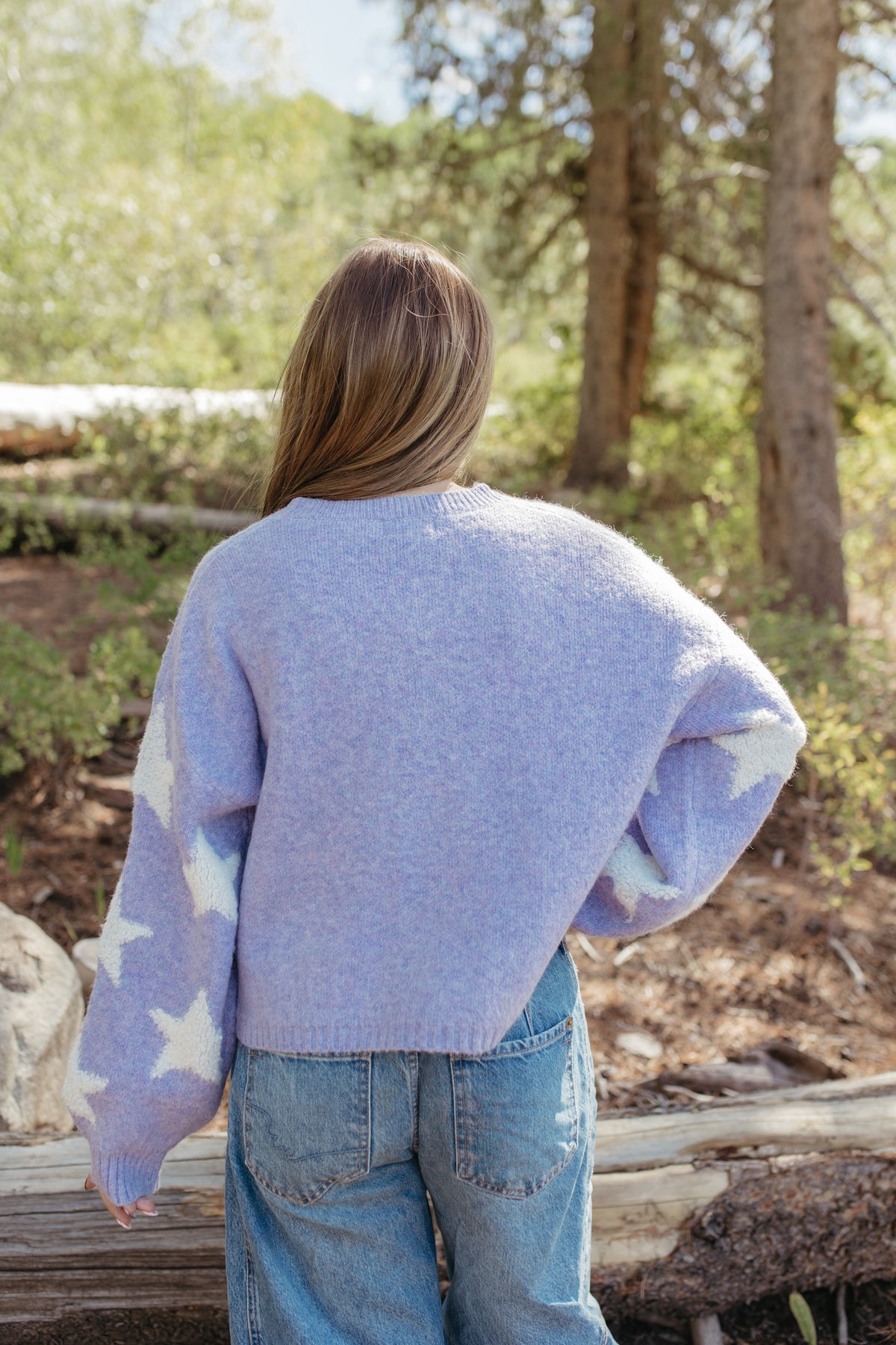 THE SAGE STAR PATTERNED SWEATER IN LILAC