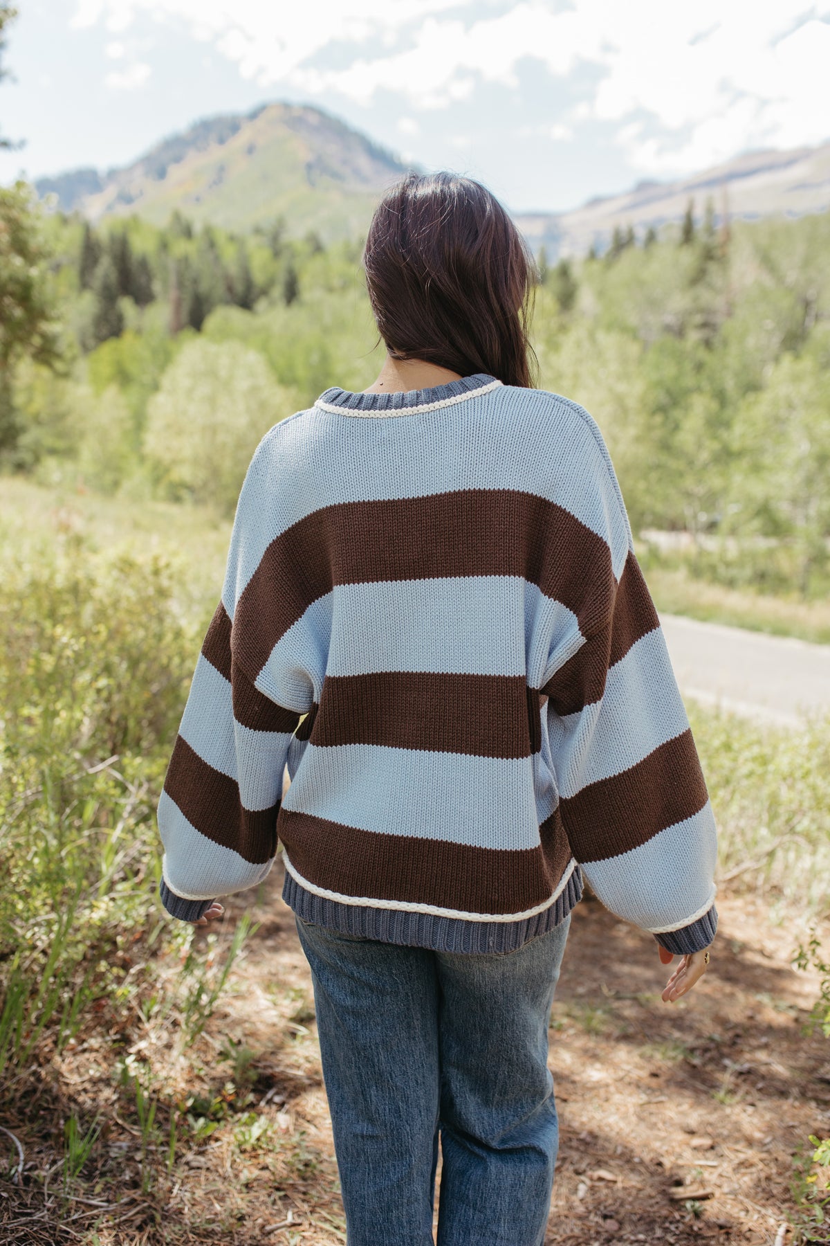 THE JORDAN STRIPE LONG SLEEVE SWEATER IN BLUE