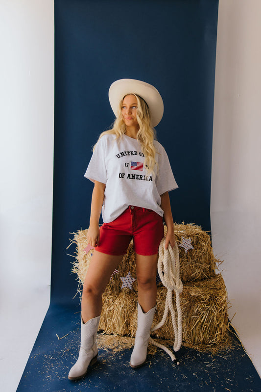 THE BOSTON USA OVERSIZED TEE IN HEATHER GREY