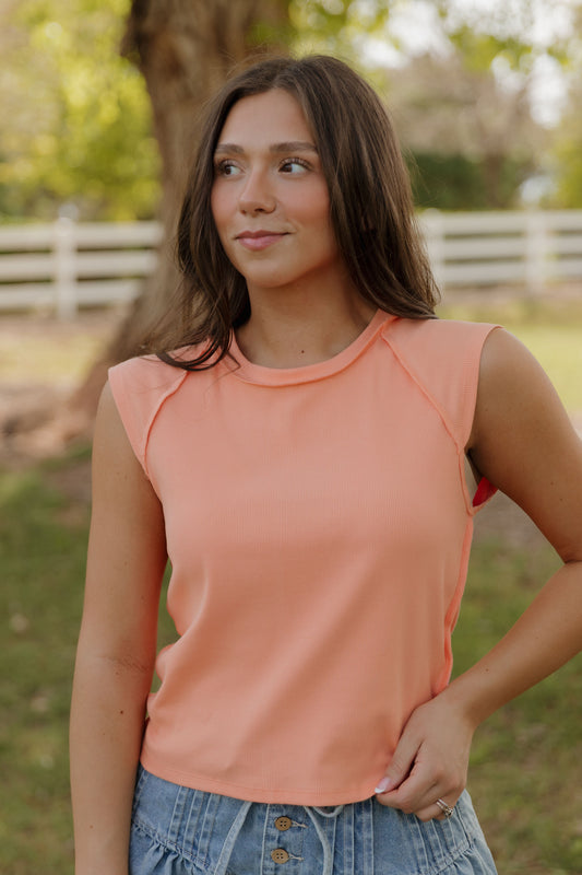 THE CHANDRA RIBBED RAGLAN SLEEVE TOP IN PEACH