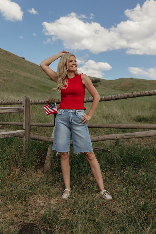 THE KENSLEY HIGH RISE SIDE SEAM DENIM JORTS