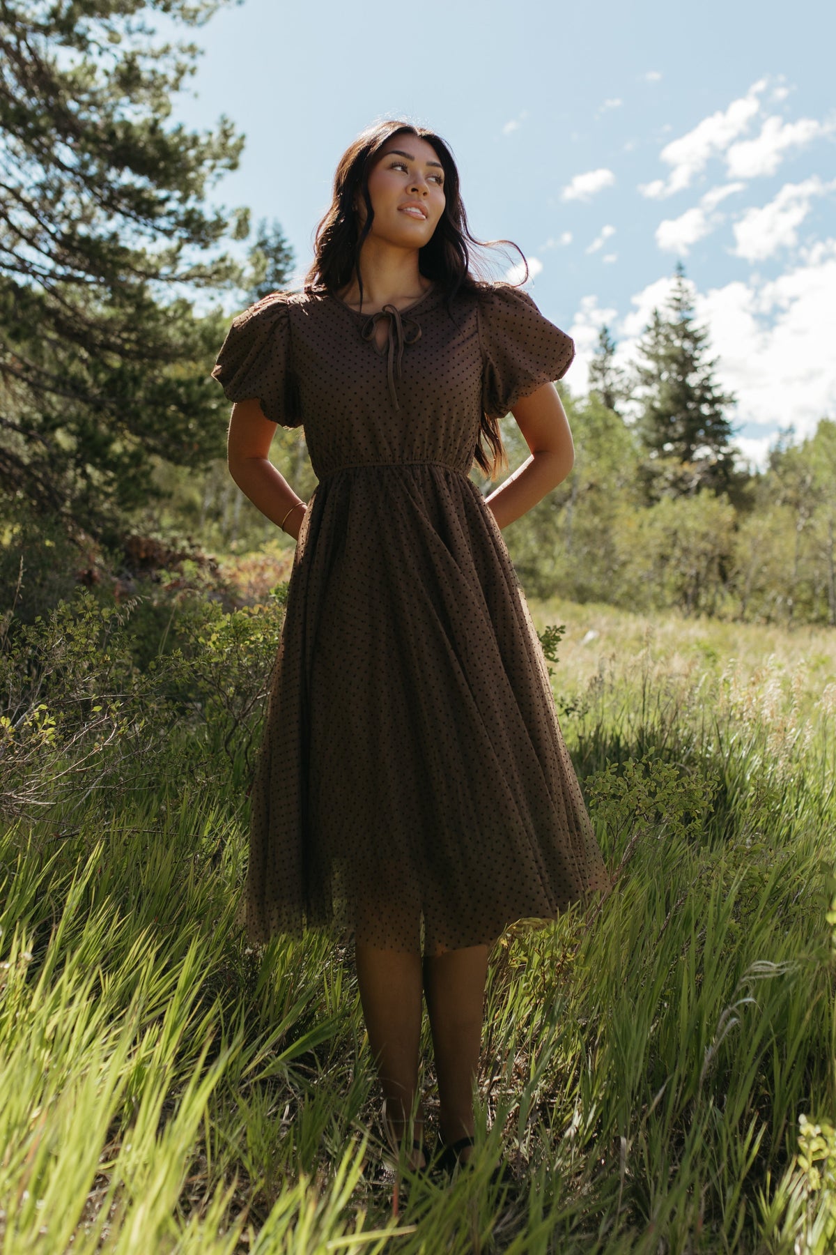 THE NATALIE POLKA DOT MIDI DRESS IN MOCHA