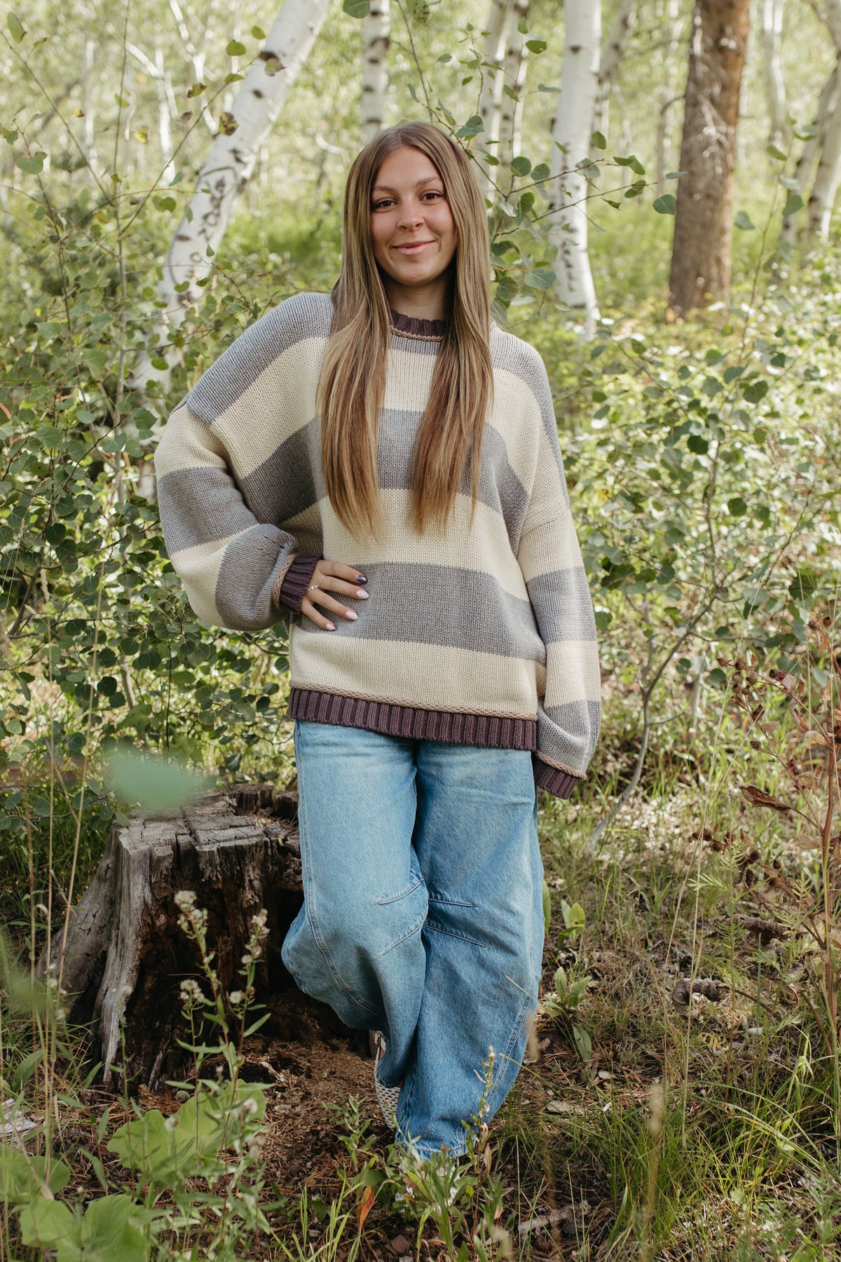 THE JORDAN STRIPE LONG SLEEVE SWEATER IN GREY