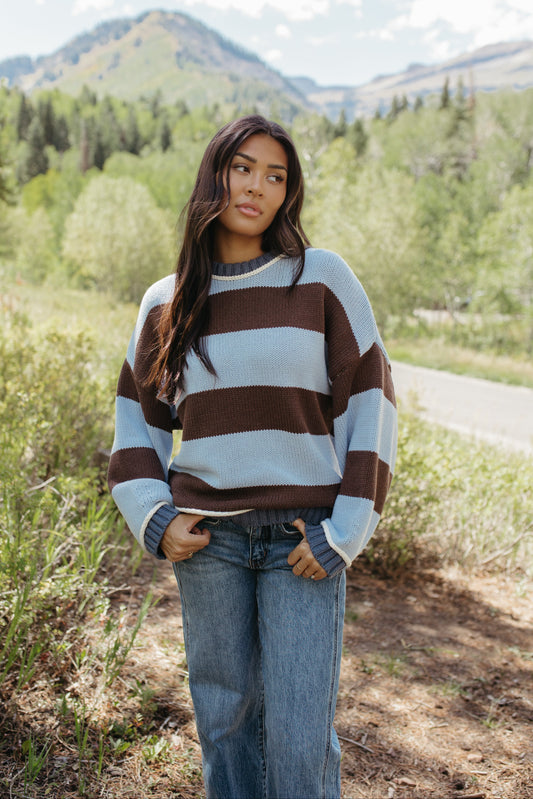 THE JORDAN STRIPE LONG SLEEVE SWEATER IN BLUE