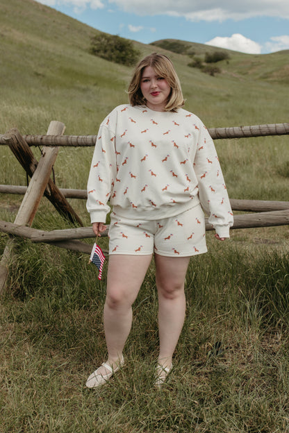 THE USA DOG SET