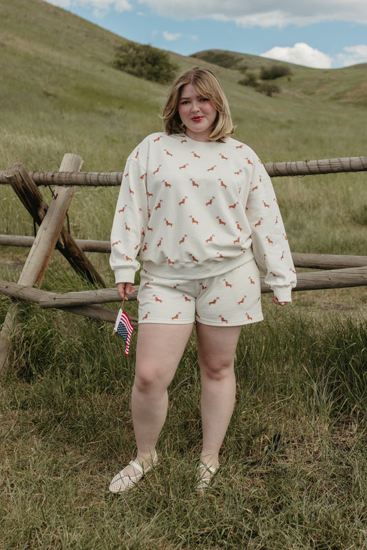 THE USA DOG SET
