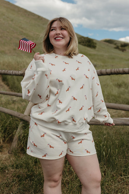 THE USA DOG SET