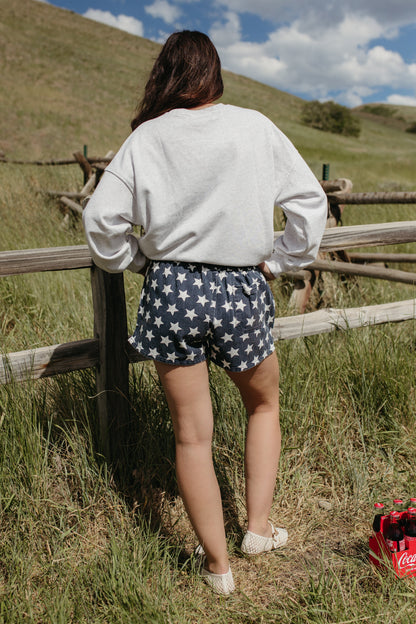 THE USA STAR EMBROIDERED CREWNECK