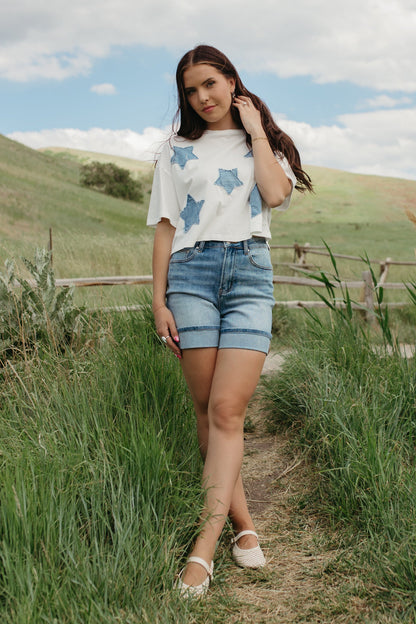 THE BRIAR STAR PATCHWORK TOP