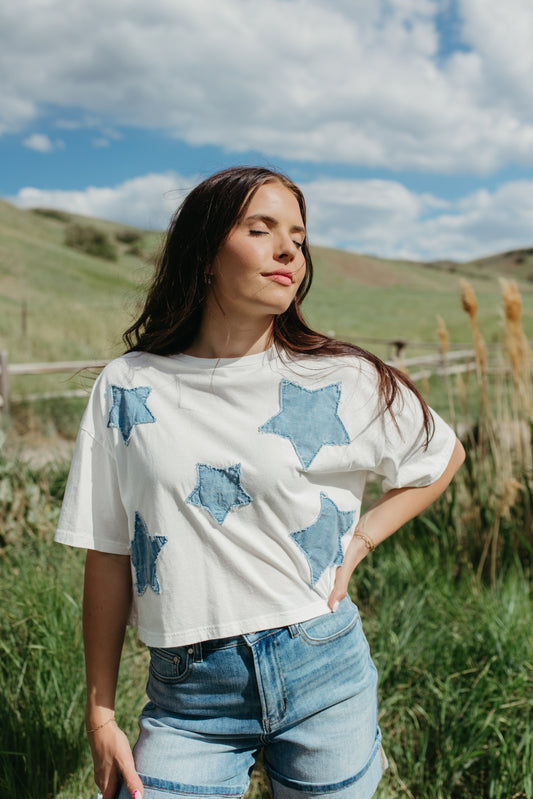 THE BRIAR STAR PATCHWORK TOP