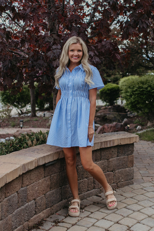 THE NOVIE GINGHAM BUTTON DOWN DRESS