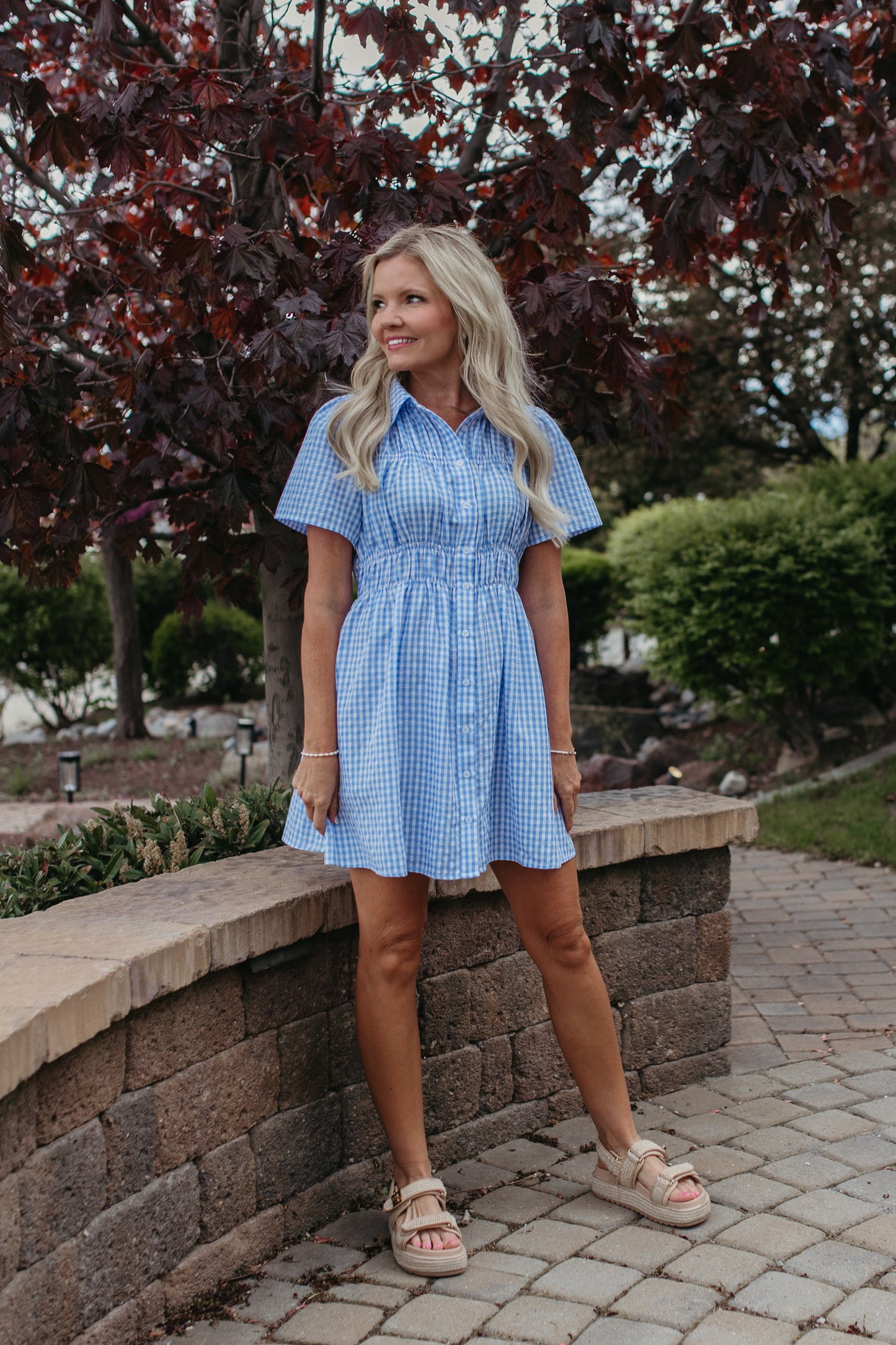 THE NOVIE GINGHAM BUTTON DOWN DRESS
