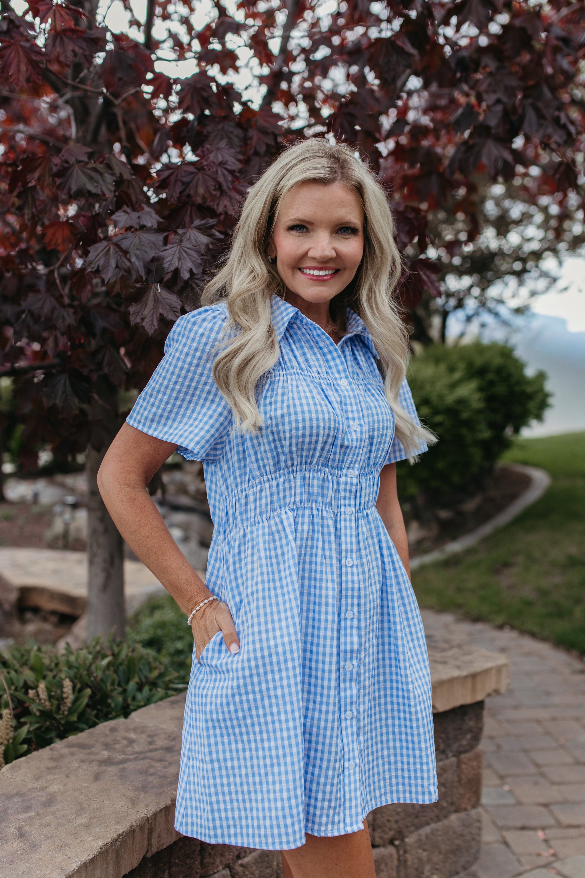blue gingham mini dress THE NOVIE GINGHAM BUTTON DOWN DRESS – Pink Desert