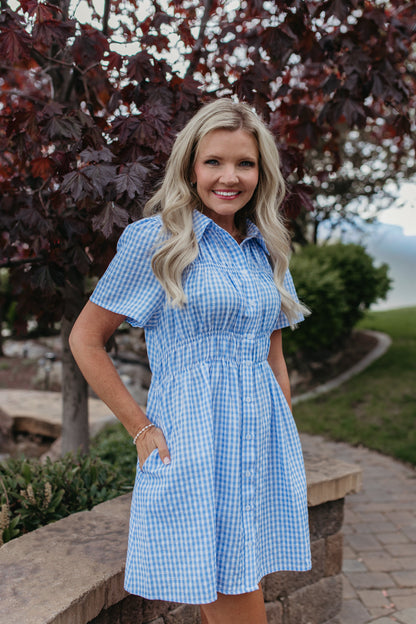 THE NOVIE GINGHAM BUTTON DOWN DRESS