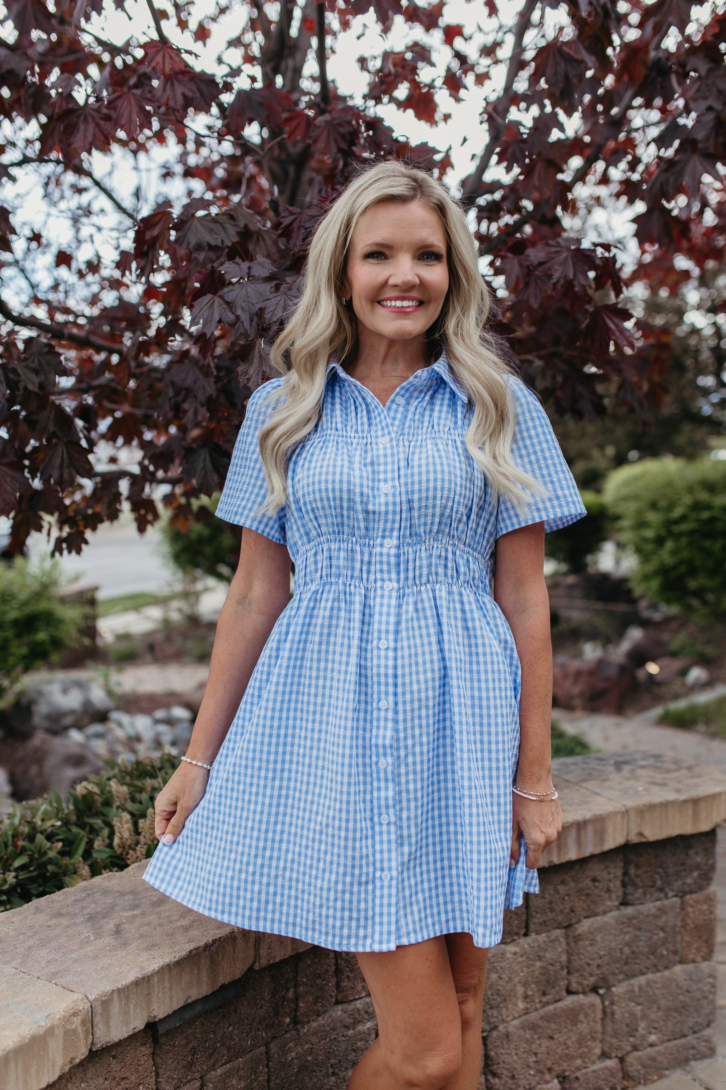 THE NOVIE GINGHAM BUTTON DOWN DRESS