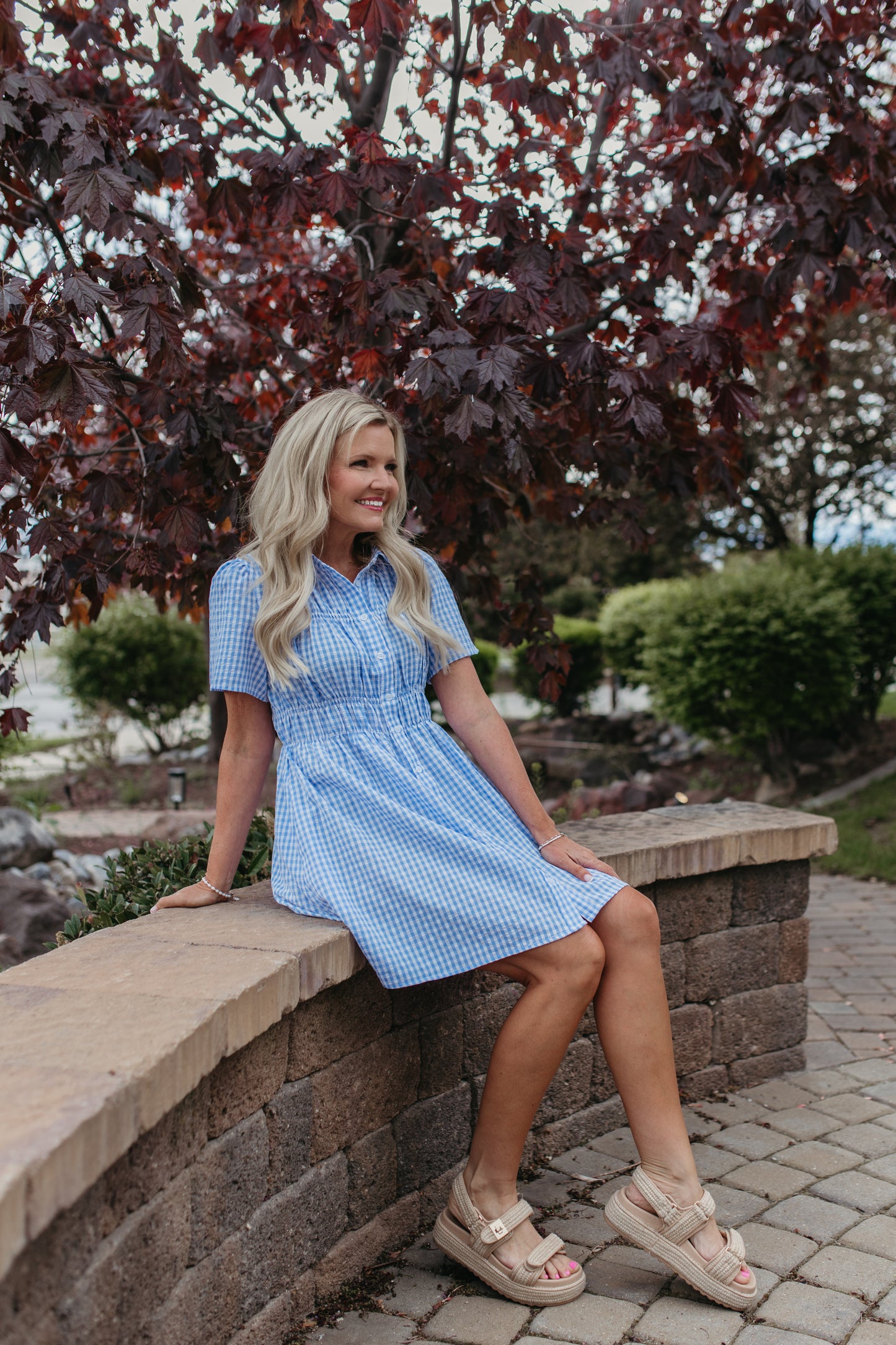 THE NOVIE GINGHAM BUTTON DOWN DRESS