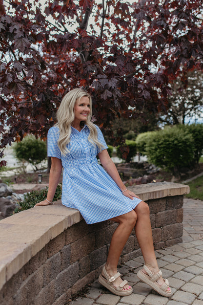 THE NOVIE GINGHAM BUTTON DOWN DRESS