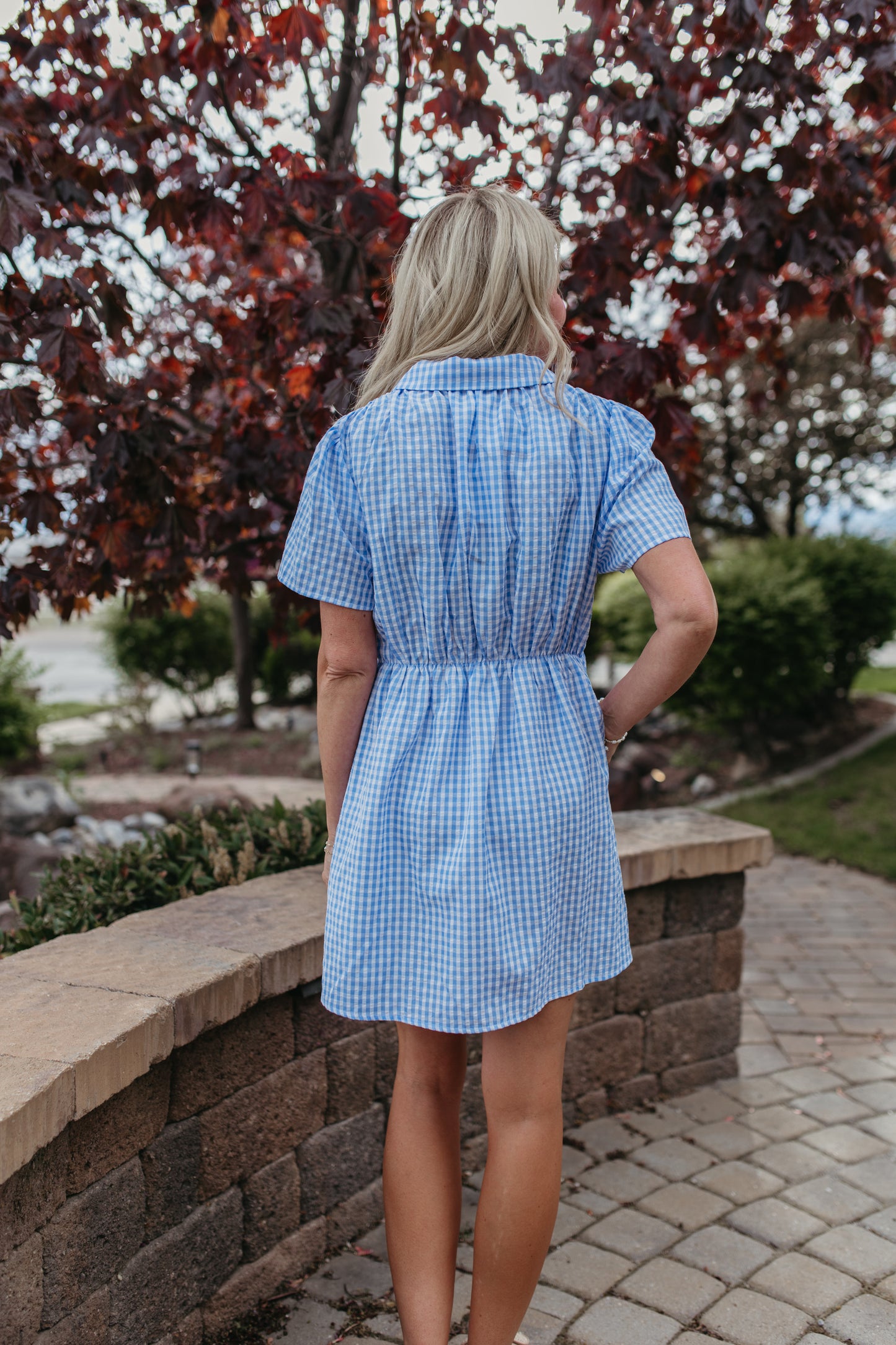 THE NOVIE GINGHAM BUTTON DOWN DRESS