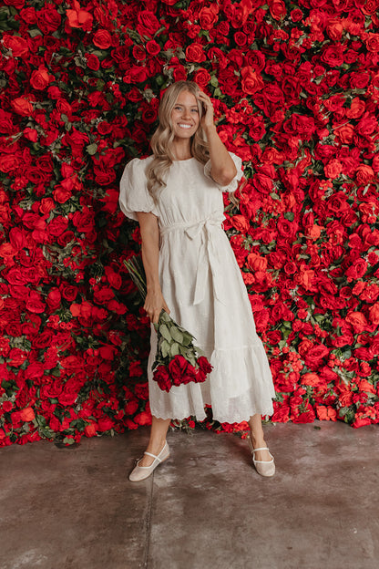 THE LUCY EMBROIDERED CHIFFON DRESS IN IVORY