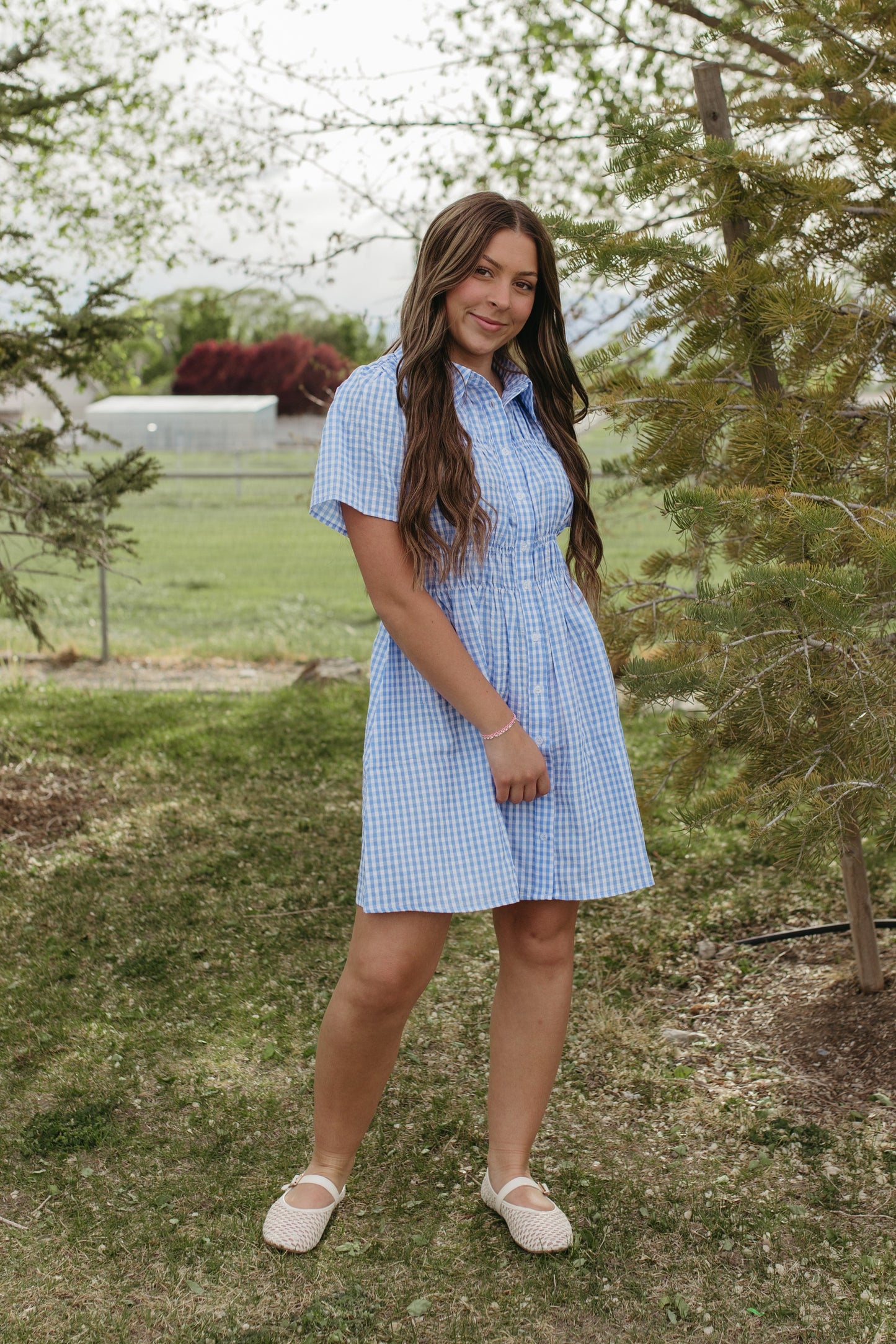 THE NOVIE GINGHAM BUTTON DOWN DRESS