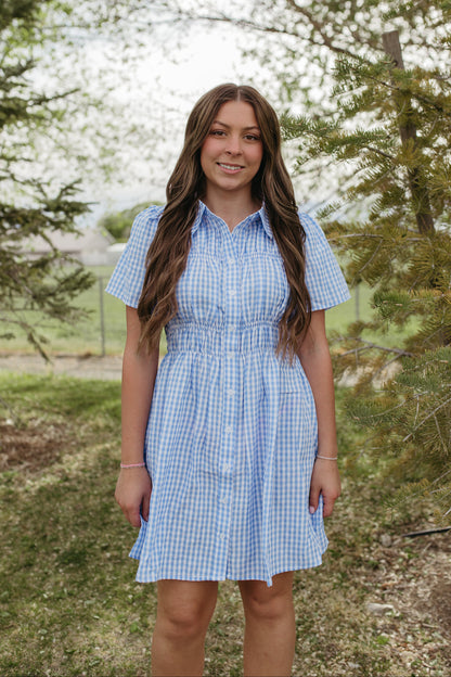 THE NOVIE GINGHAM BUTTON DOWN DRESS