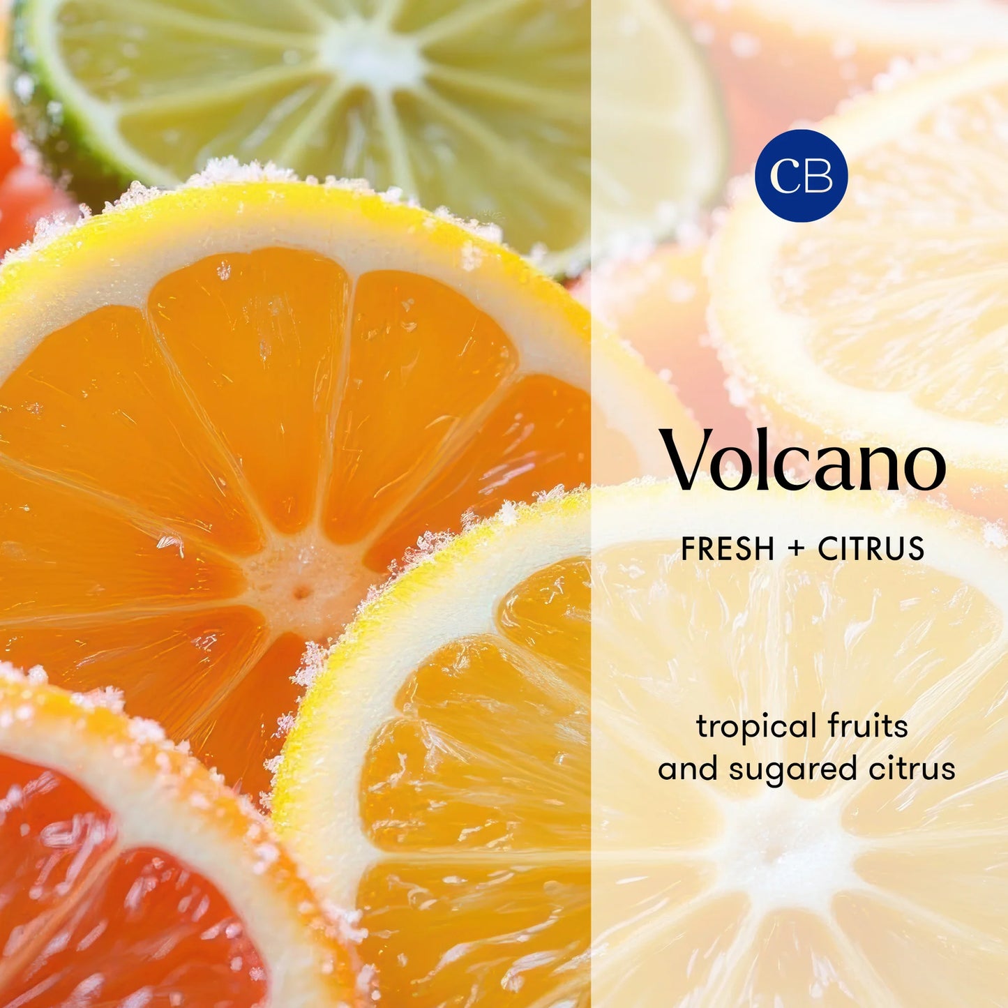 CAPRI BLUE VOLCANO REED SIGNATURE DIFFUSER