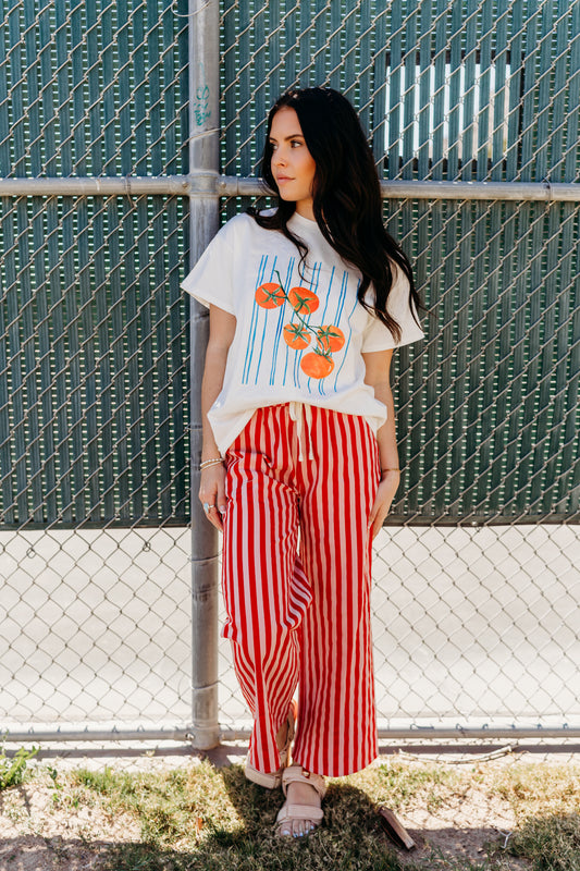 THE MADDY STRIPED DRAWSTRING PANTS IN PINK