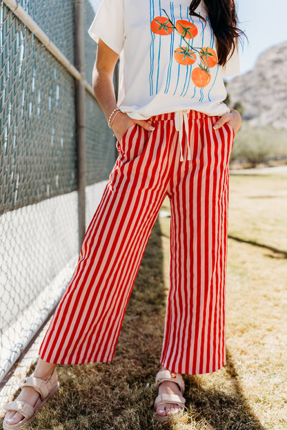 THE MADDY STRIPED DRAWSTRING PANTS IN PINK