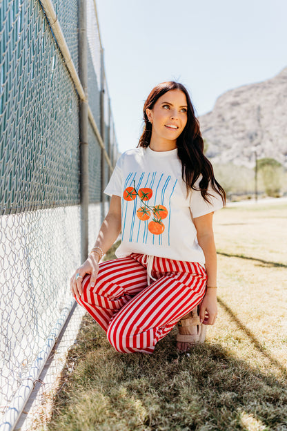 THE MADDY STRIPED DRAWSTRING PANTS IN PINK