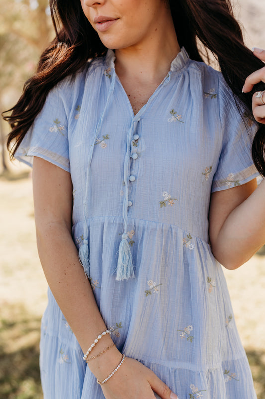 THE JULIANN FLORAL EMBROIDERED DRESS IN BLUE