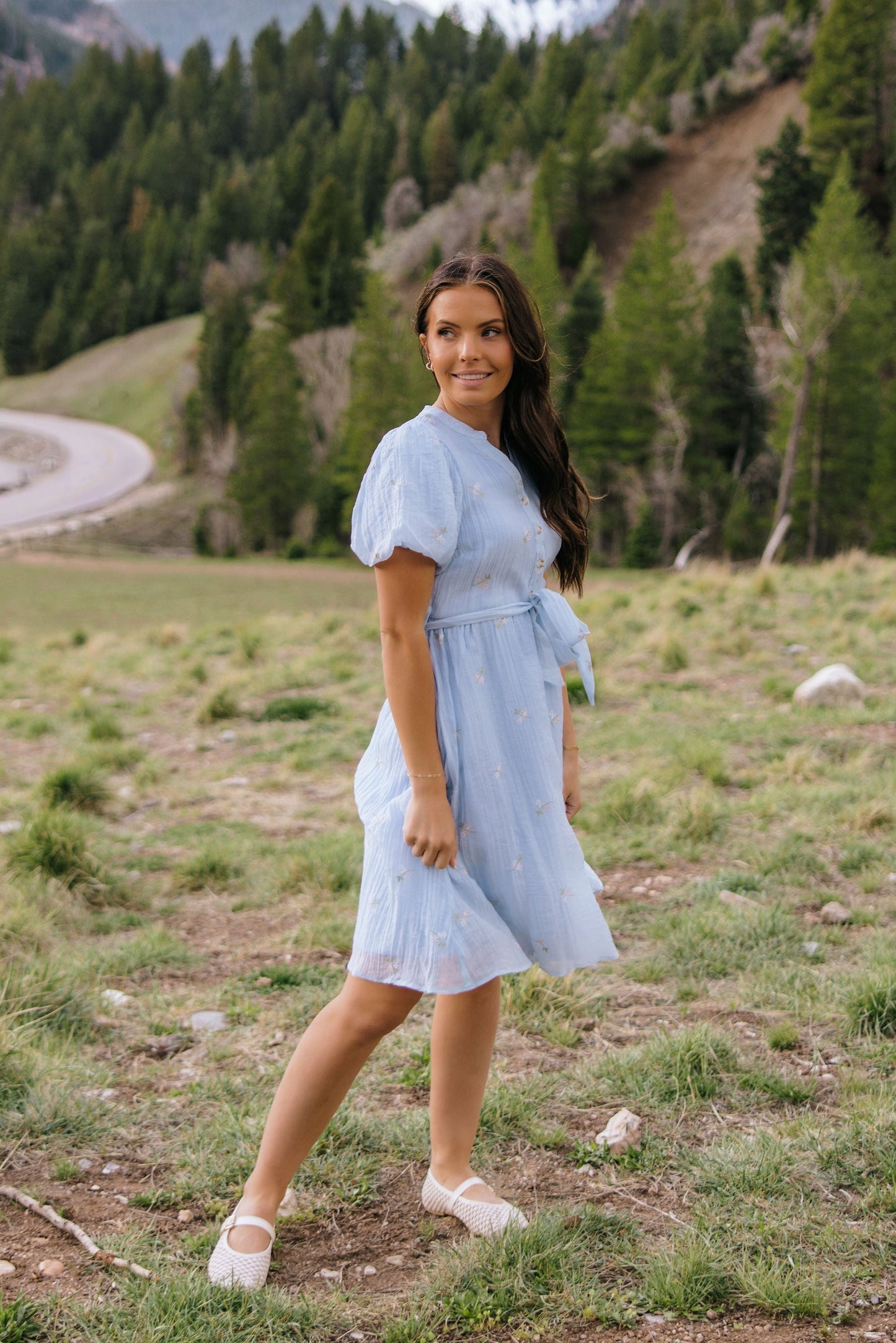 THE AVA FLOWER EMBROIDERED DRESS