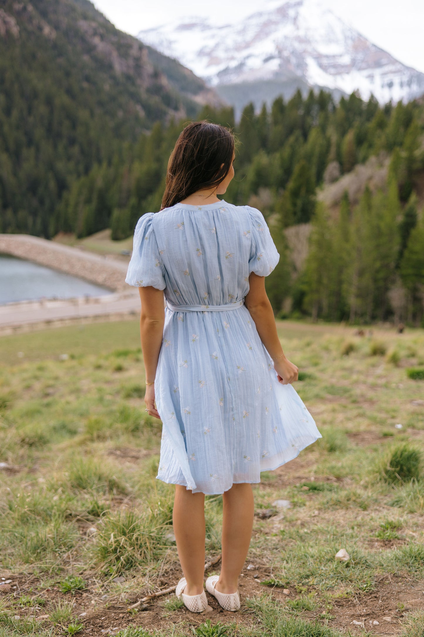 THE AVA FLOWER EMBROIDERED DRESS
